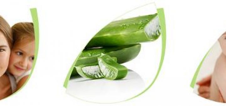Beitragsbild zum Artikel Tolle Aloe Vera Produkte aus dem LR Katalog online günstig kaufen.